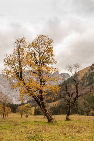 Türkisgrüner Bergsee am Fernpass