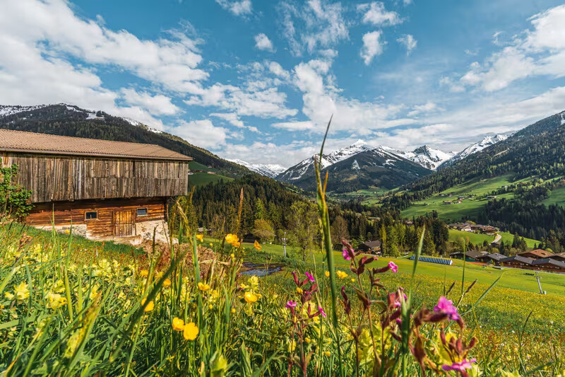 Leere Bergstraße im Mai, Wiesen in Blüte, oben noch Schnee