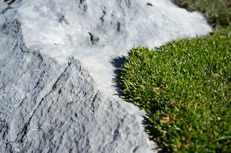 Verwitterte Felswand im Karwendel bei diffusem Morgenlicht